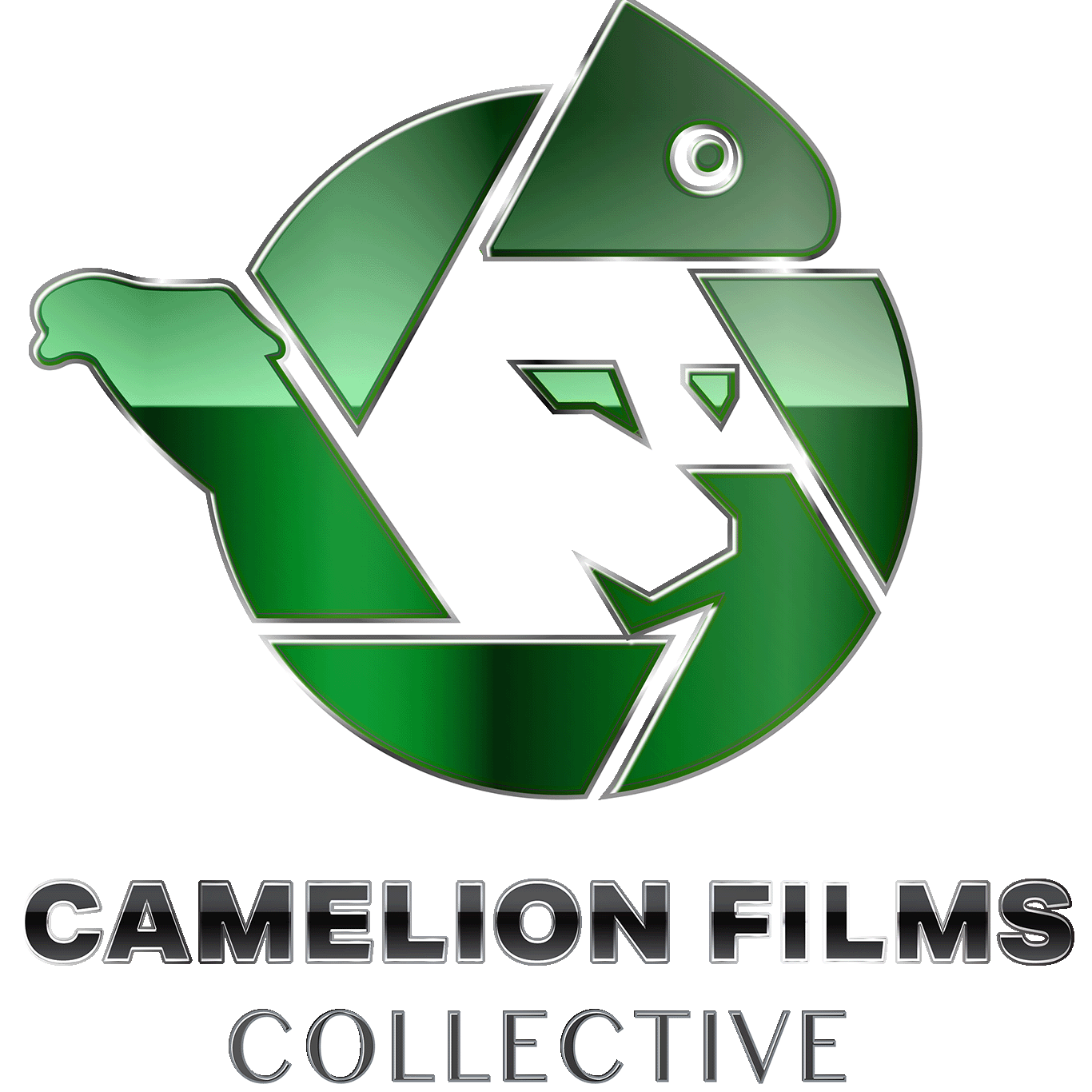 CAMELION FILMS - Filmmaker Collective based in Munich